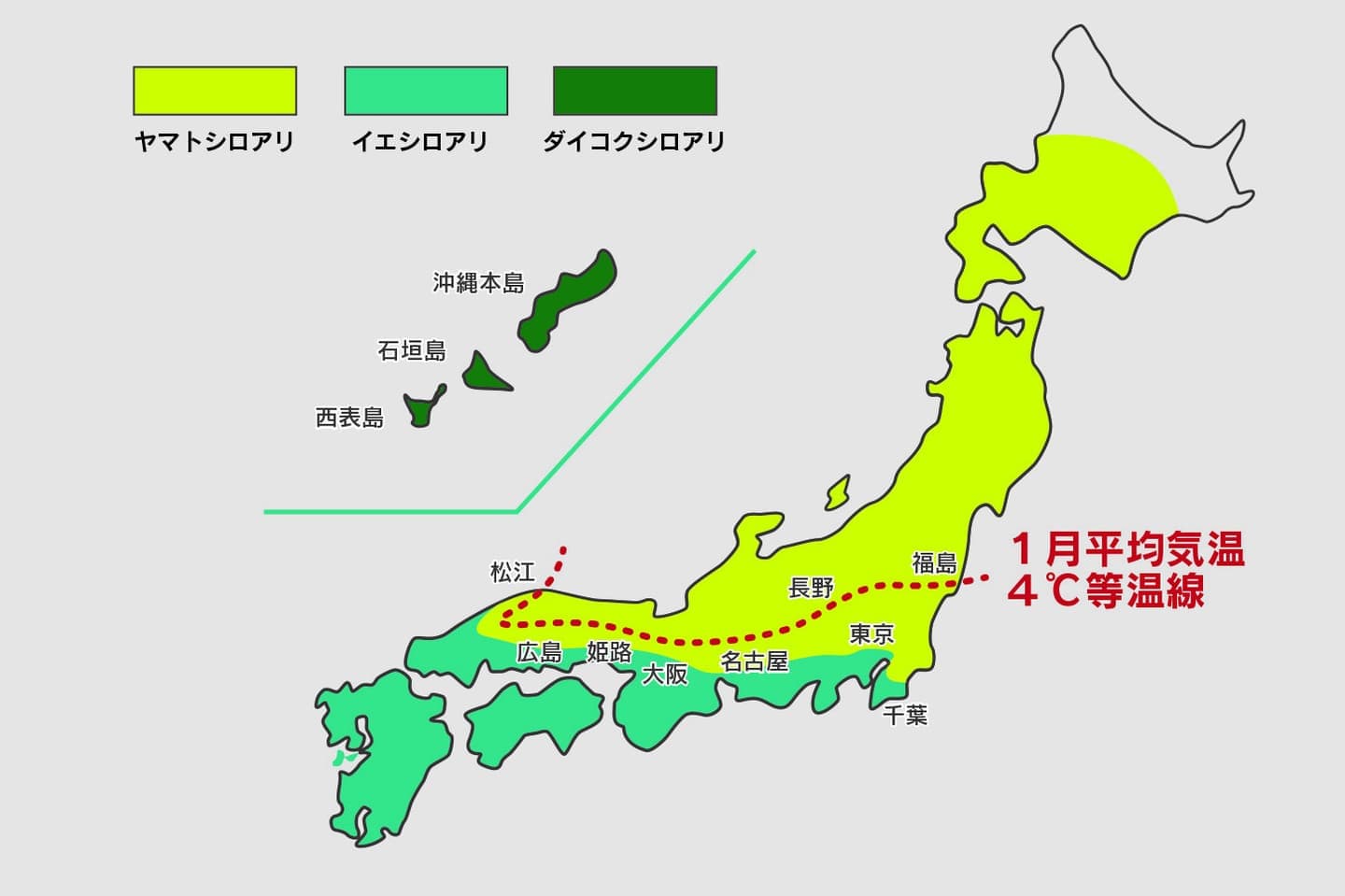 シロアリの分布図