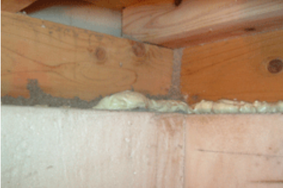 断熱材のシロアリ被害