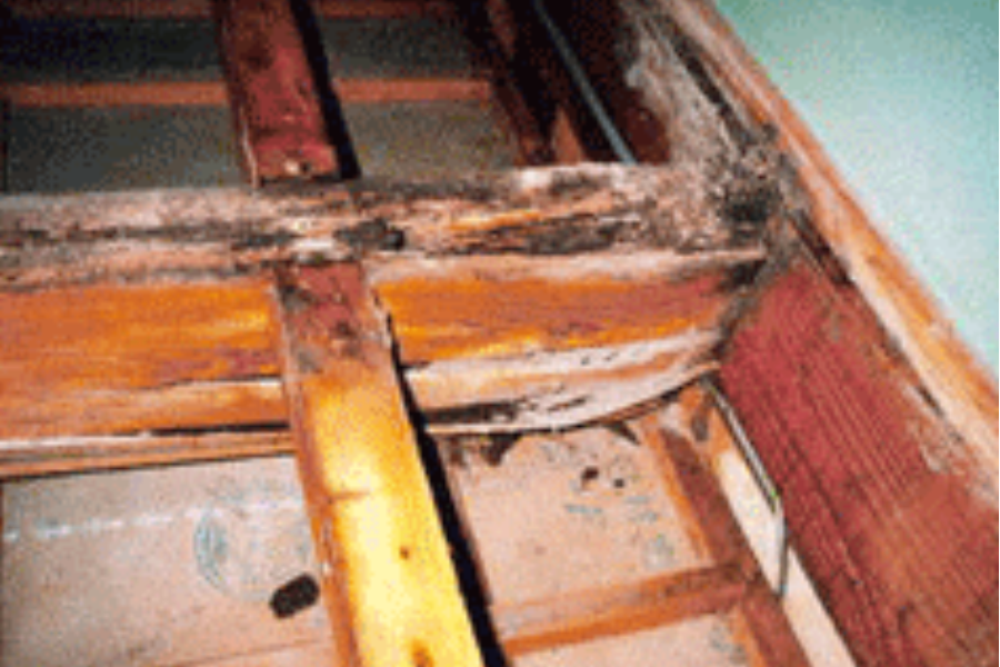 天井裏のシロアリ被害